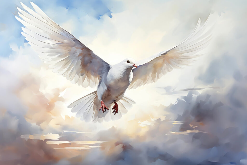 Weiße Taube fliegt in den Himmel Weiße Taube fliegt in den Himmel
