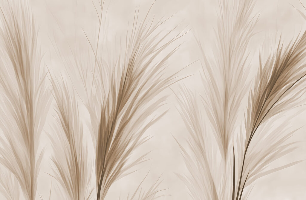 Zartes Gras vor einem weichen Hintergrund Zartes Gras vor einem weichen Hintergrund