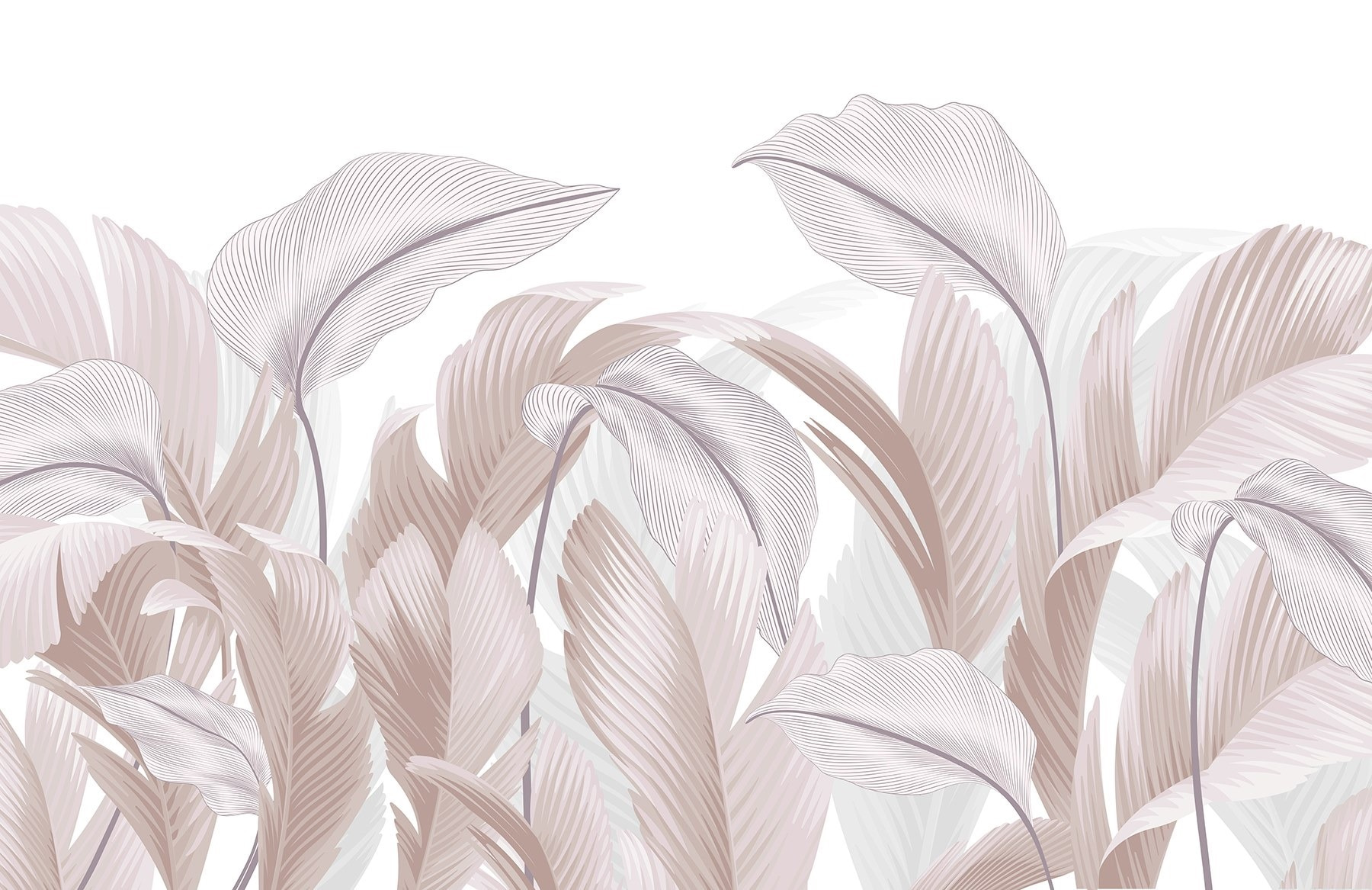 Delicate lines of nature's beauty Delicate lines of nature's beauty