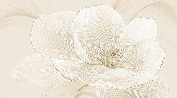 Delicate lines defining floral beauty