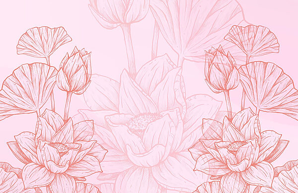 Rosa und weiße Blumenzeichnung Rosa und weiße Blumenzeichnung