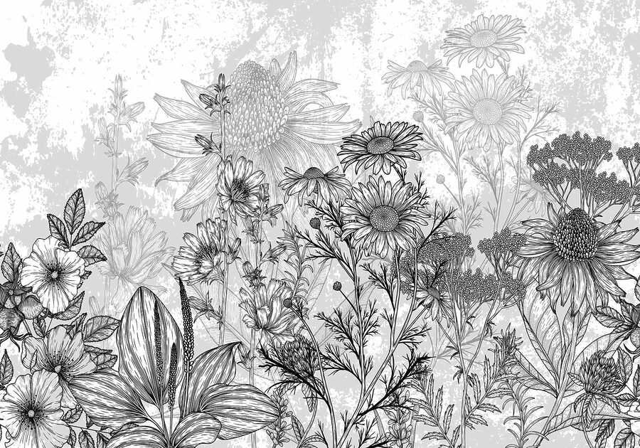 Schwarzes und weißes Bild von Blumen