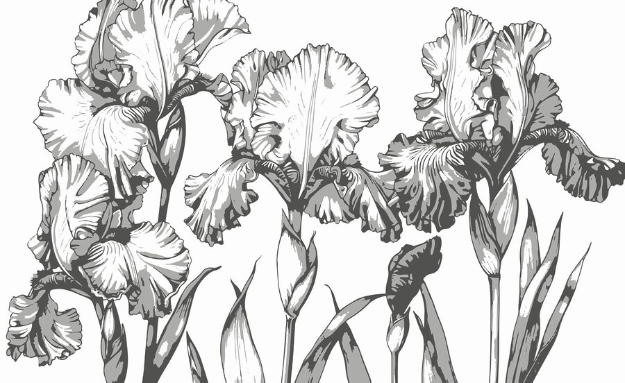 Gruppe von Blumen mit Blättern