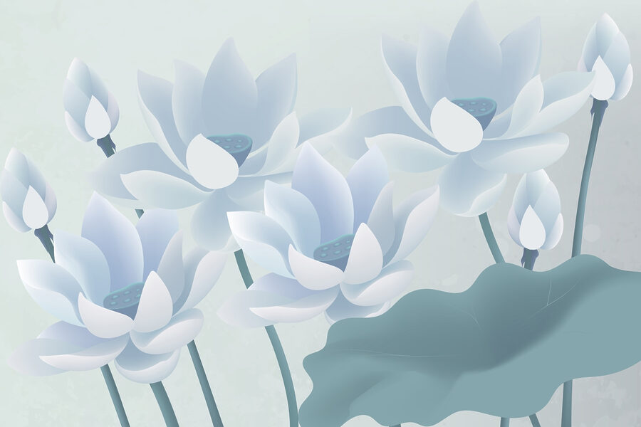 Gruppe von weißen Blumen