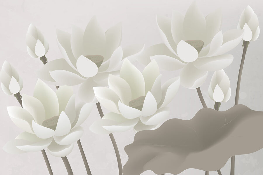 Gruppe von weißen Blumen