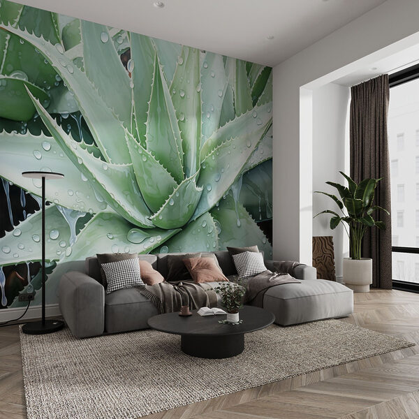 Lebendige Aloe mit erfrischenden Regentropfen Lebendige Aloe mit erfrischenden Regentropfen