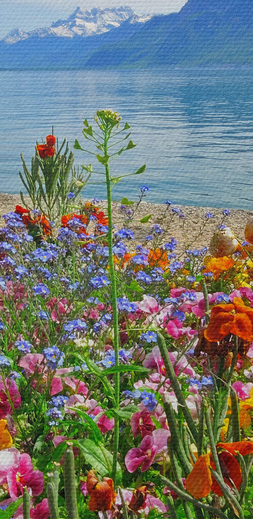 Flower bed with flowers and a lake in the background