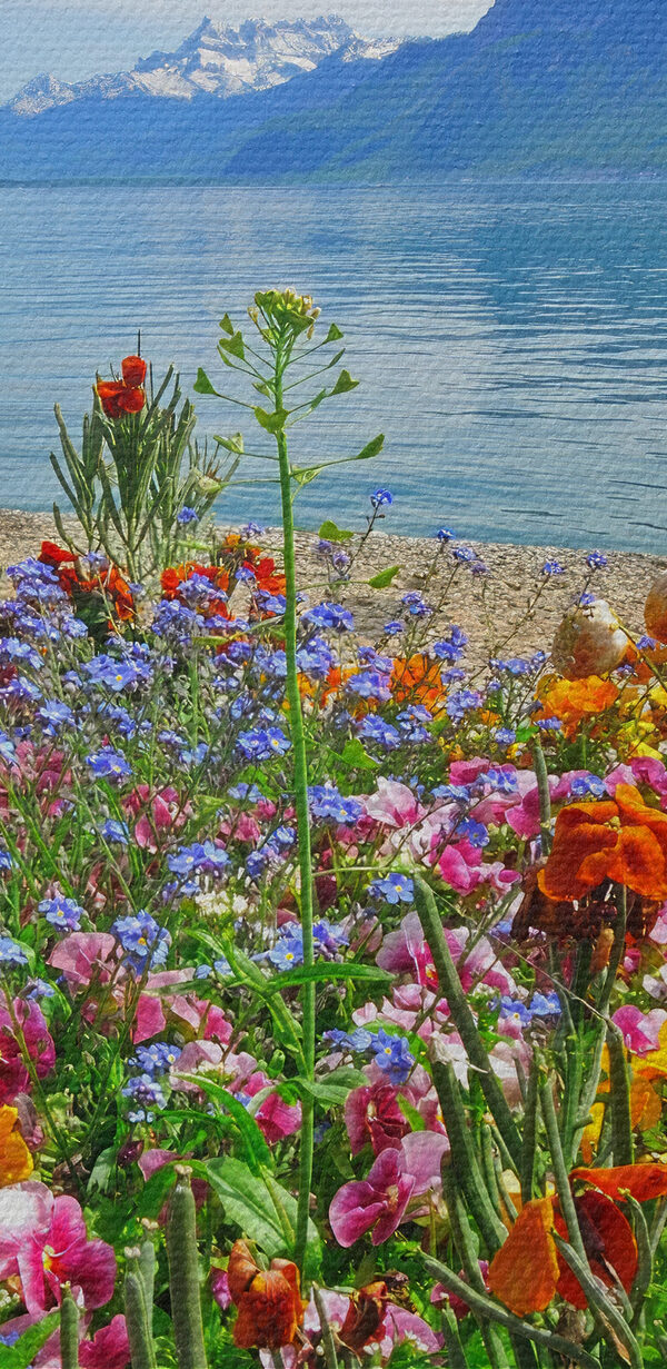 Blumenbeet mit Blumen und einem See im Hintergrund Blumenbeet mit Blumen und einem See im Hintergrund