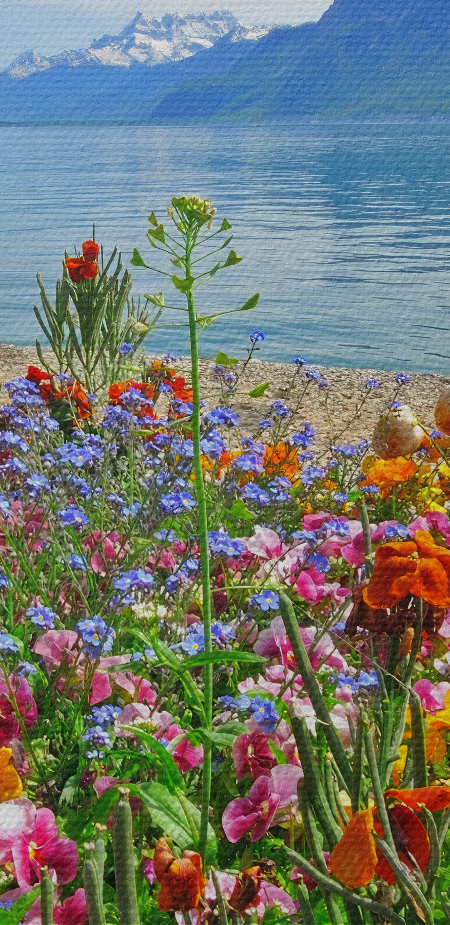 Blumenbeet mit Blumen und einem See im Hintergrund Blumenbeet mit Blumen und einem See im Hintergrund