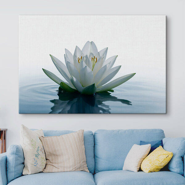 Weiße Blume im Wasser Weiße Blume im Wasser