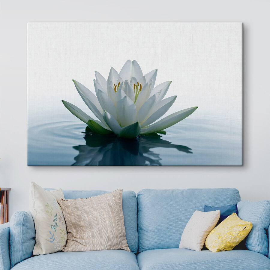 Weiße Blume im Wasser