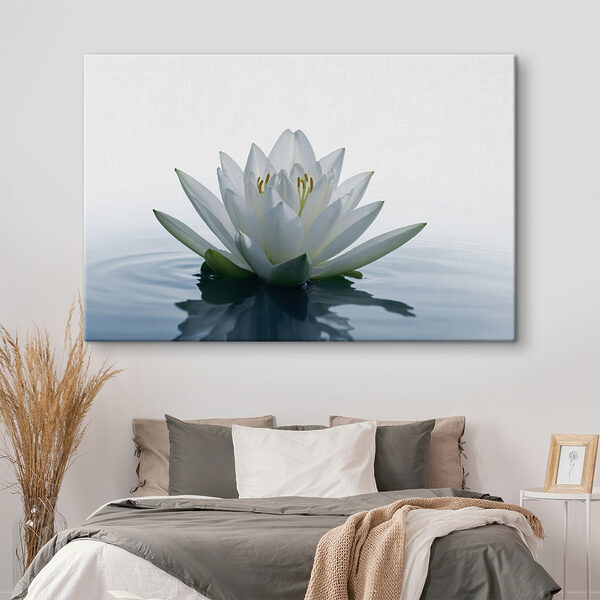 Weiße Blume im Wasser Weiße Blume im Wasser
