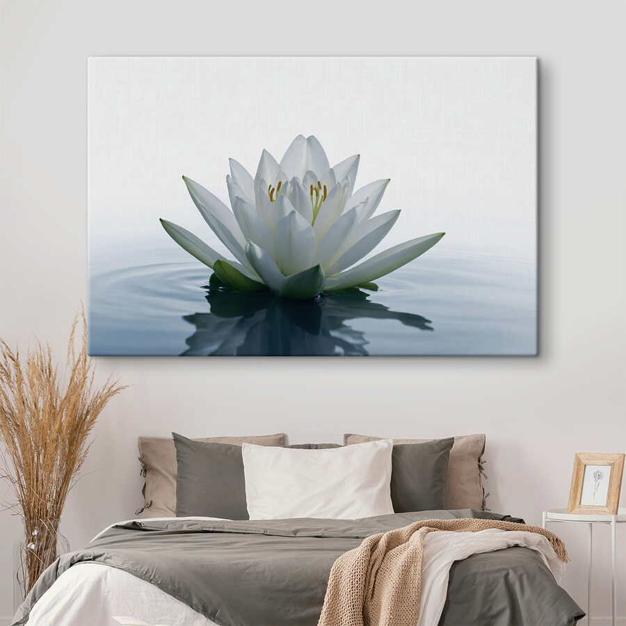Weiße Blume im Wasser