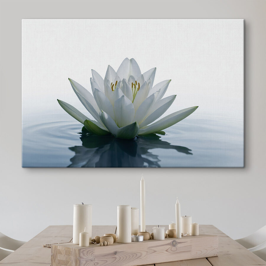 Weiße Blume im Wasser