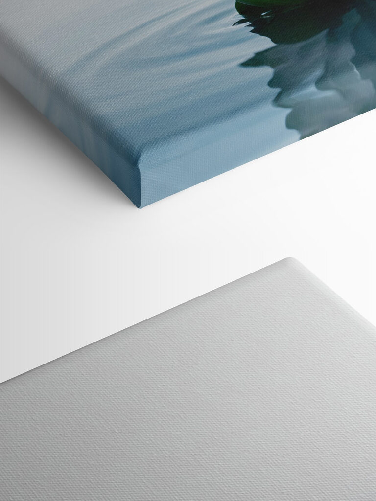 White flower in water