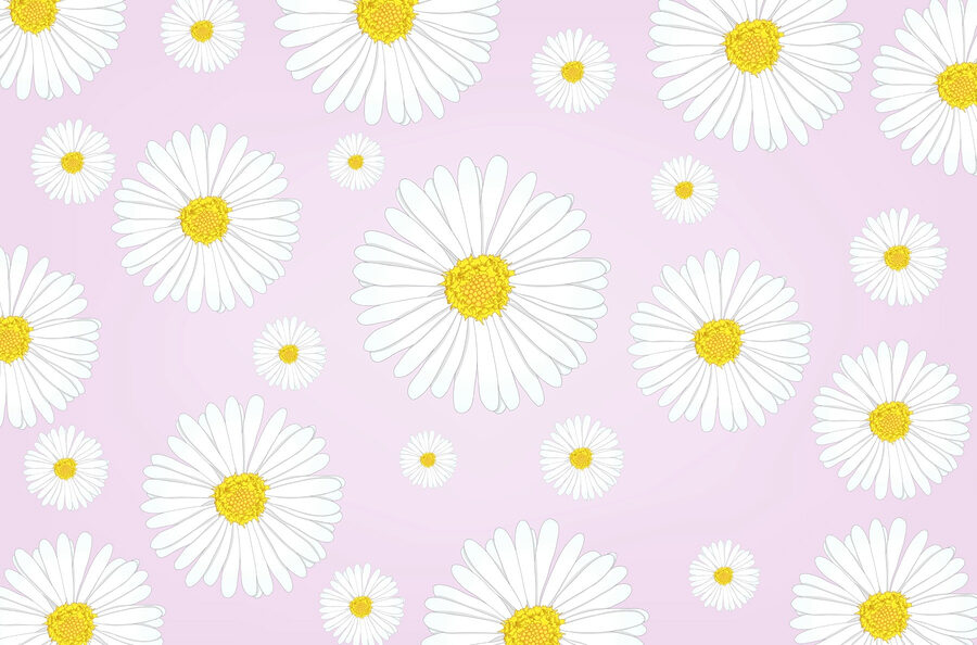 Muster aus weißen und gelben Blumen Muster aus weißen und gelben Blumen