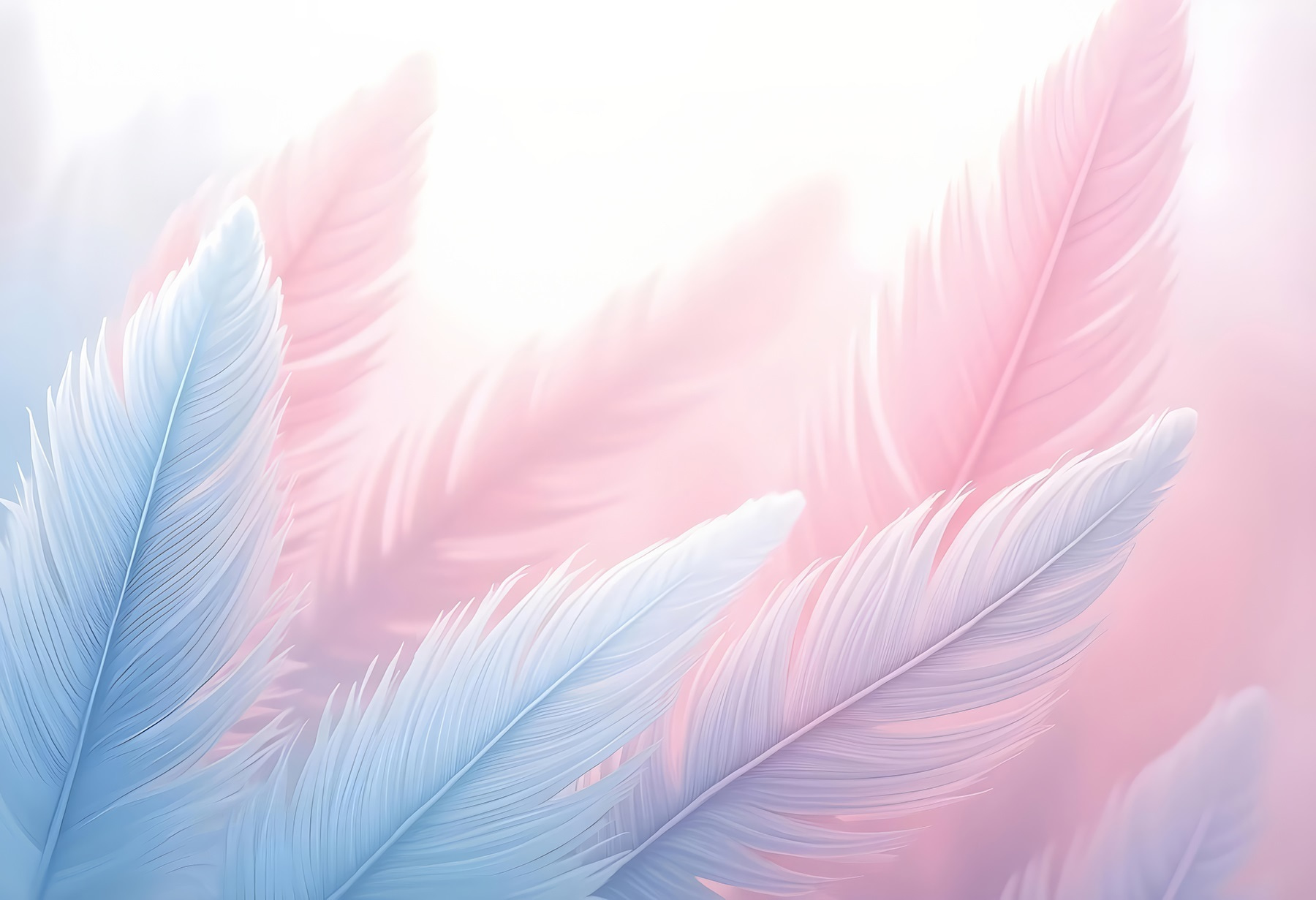 Group of feathers in light