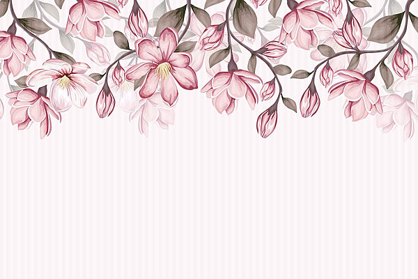 Rosa Blumen auf weißem Hintergrund Rosa Blumen auf weißem Hintergrund