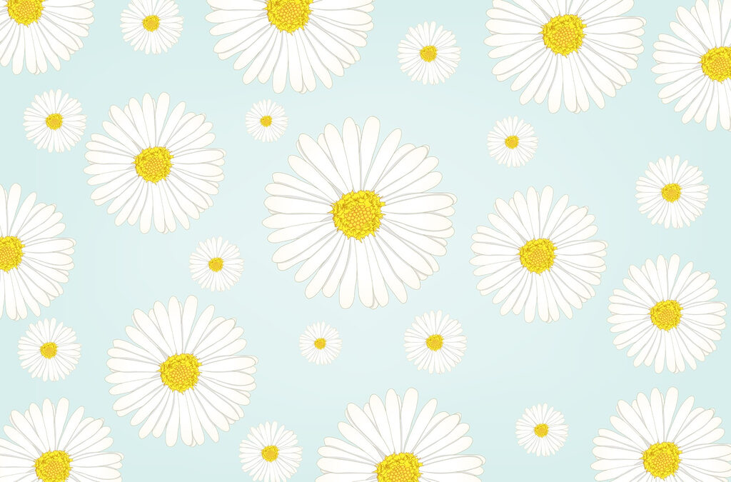 Muster aus weißen und gelben Blumen Muster aus weißen und gelben Blumen
