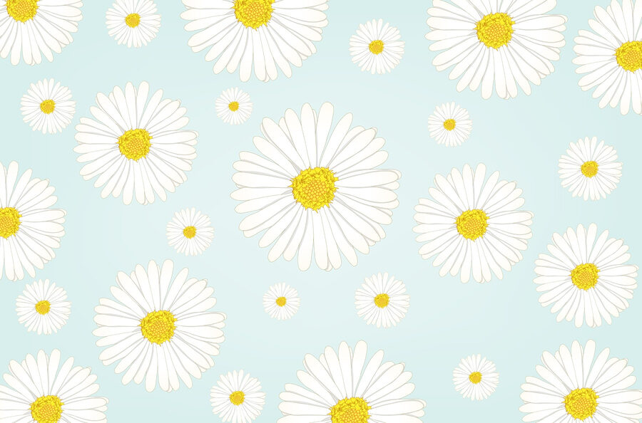 Muster aus weißen und gelben Blumen