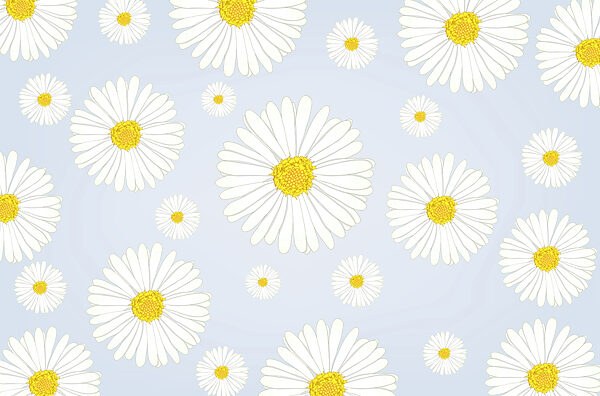 Gruppe von weißen und gelben Blumen Gruppe von weißen und gelben Blumen
