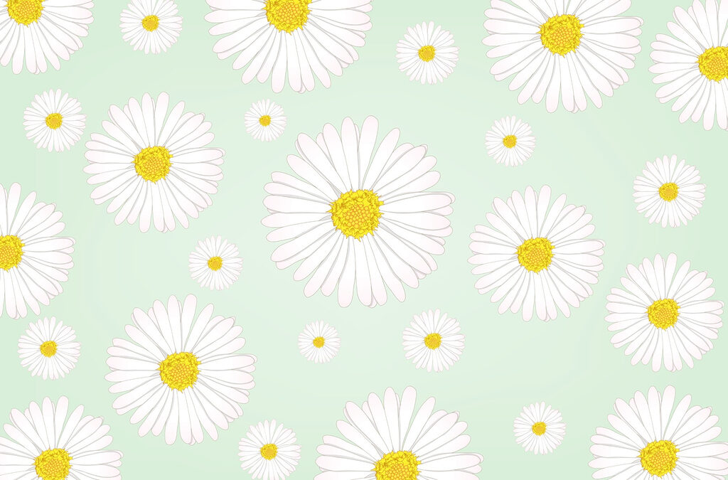 Muster aus weißen und gelben Blumen Muster aus weißen und gelben Blumen