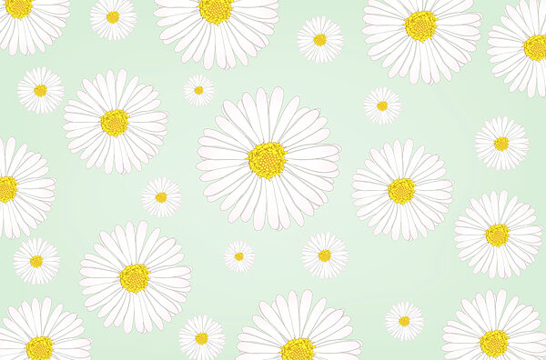 Muster aus weißen und gelben Blumen Muster aus weißen und gelben Blumen