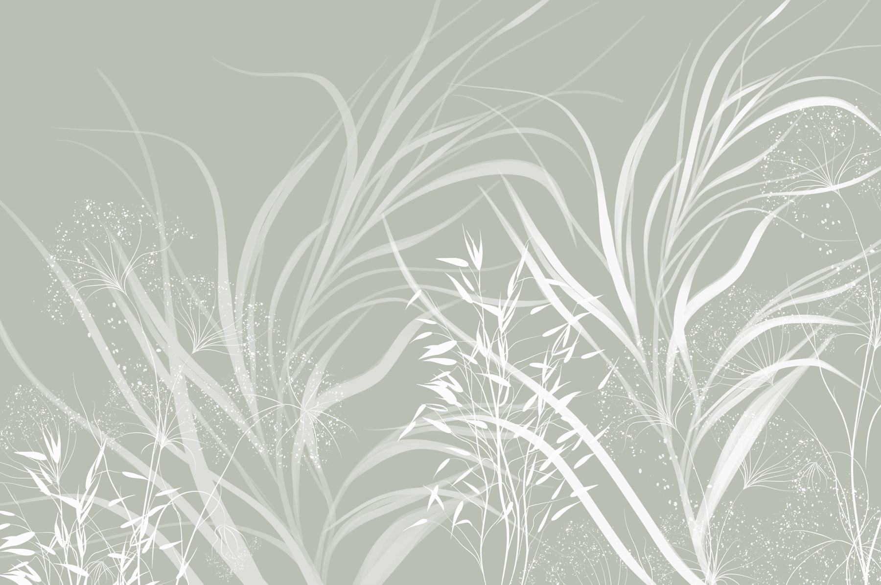 Soft patterns of nature's elegance