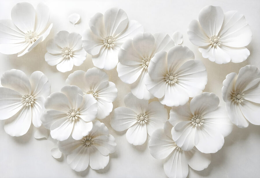 Gruppe von weißen Blumen