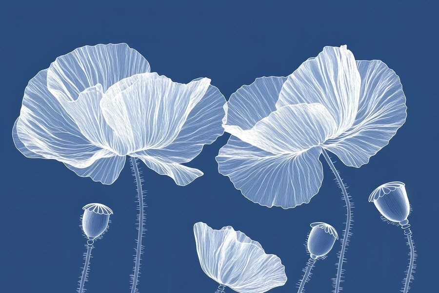 Weiße Blumen auf blauem Hintergrund