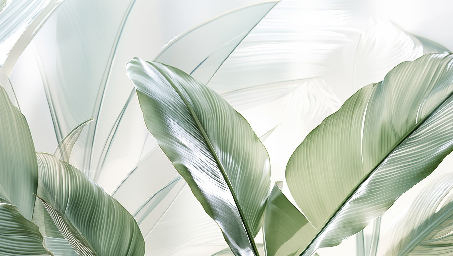 Natural green leaves in soft light