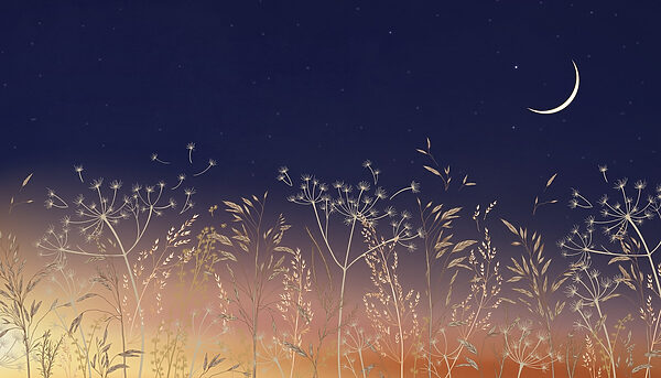 Feld mit Gras und Blumen Feld mit Gras und Blumen