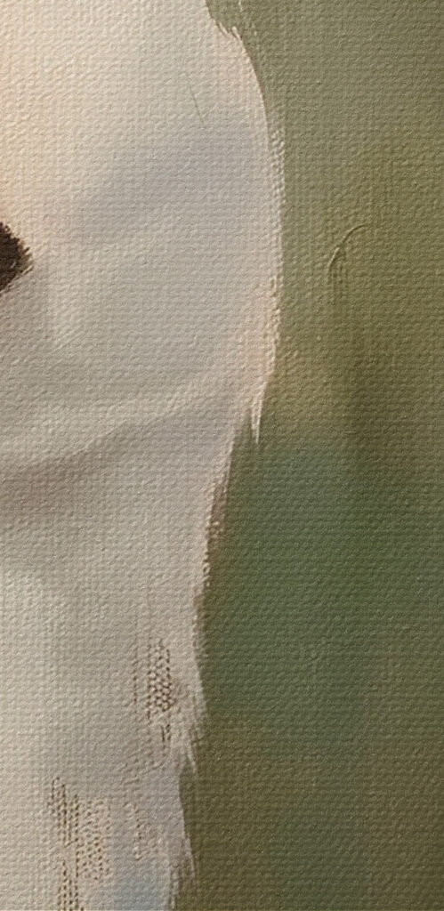 Painting of two white ducks Painting of two white ducks