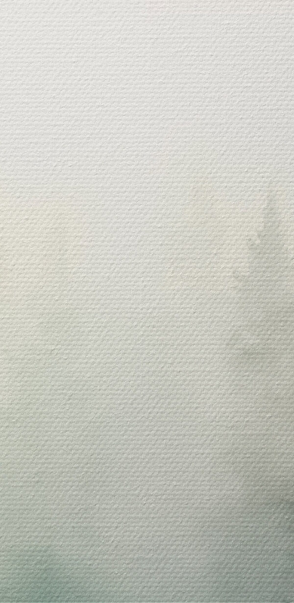 Aquarell von Bäumen in einem Wald Aquarell von Bäumen in einem Wald