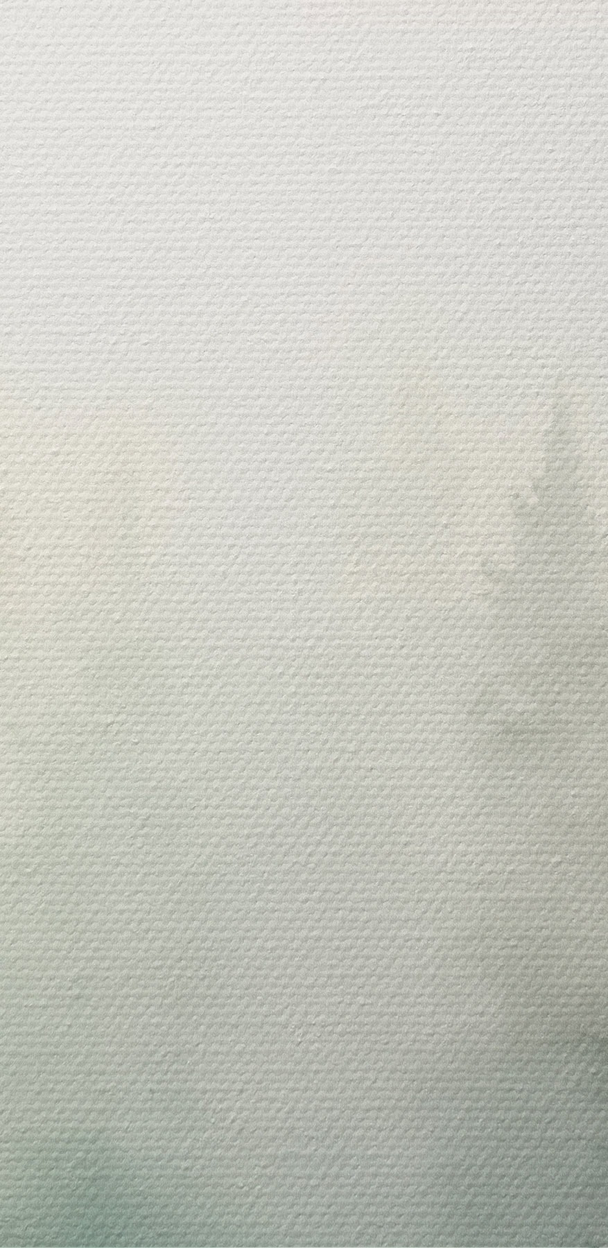 Aquarell von Bäumen in einem Wald Aquarell von Bäumen in einem Wald