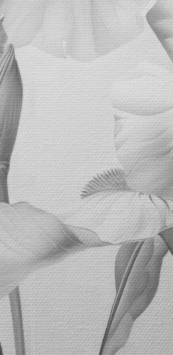 Zarte Blütenblätter in sanften monochromen Farbtönen Zarte Blütenblätter in sanften monochromen Farbtönen