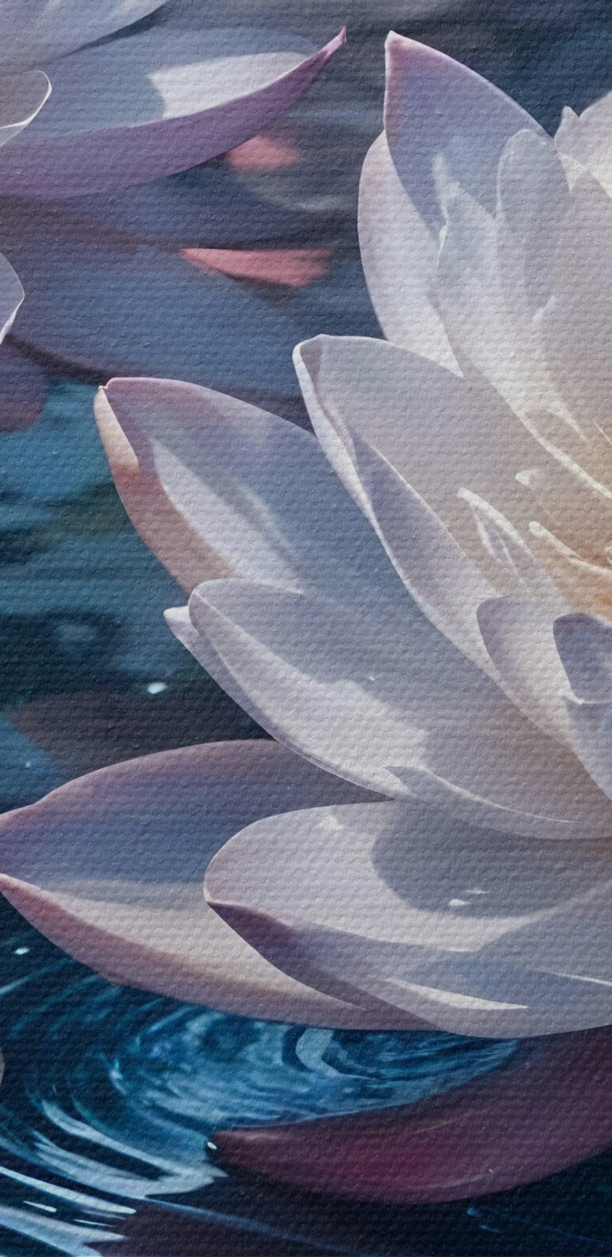Gruppe von weißen Blumen in einem Teich