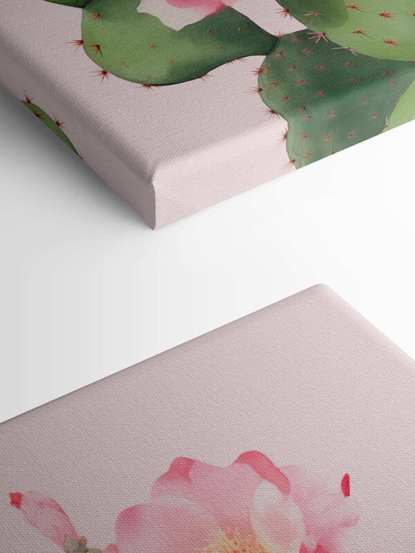 Kaktus mit rosa Blüten Kaktus mit rosa Blüten