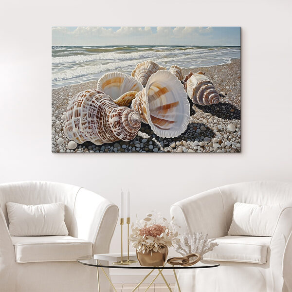Seashells on a beach Seashells on a beach