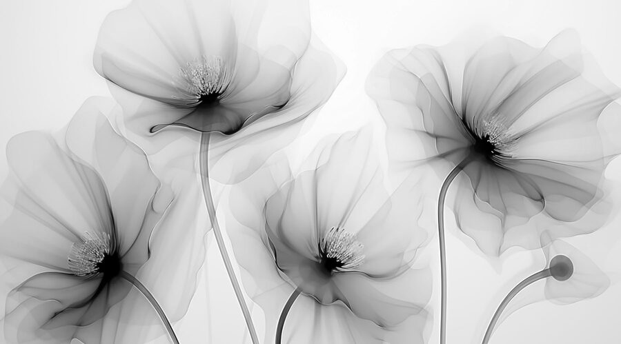Gruppe von Blumen mit weißen Blütenblättern