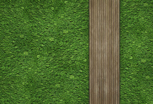 Holzdiele an grüner Wand Holzdiele an grüner Wand