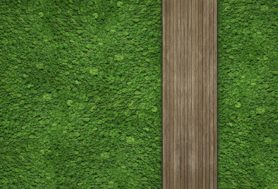 Holzdiele an grüner Wand