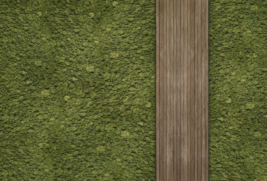 Holzdiele auf grünem Teppich Holzdiele auf grünem Teppich