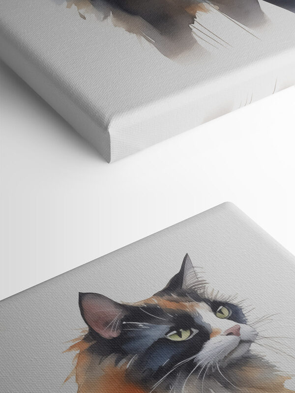 Katze mit langen Schnurrhaaren Katze mit langen Schnurrhaaren