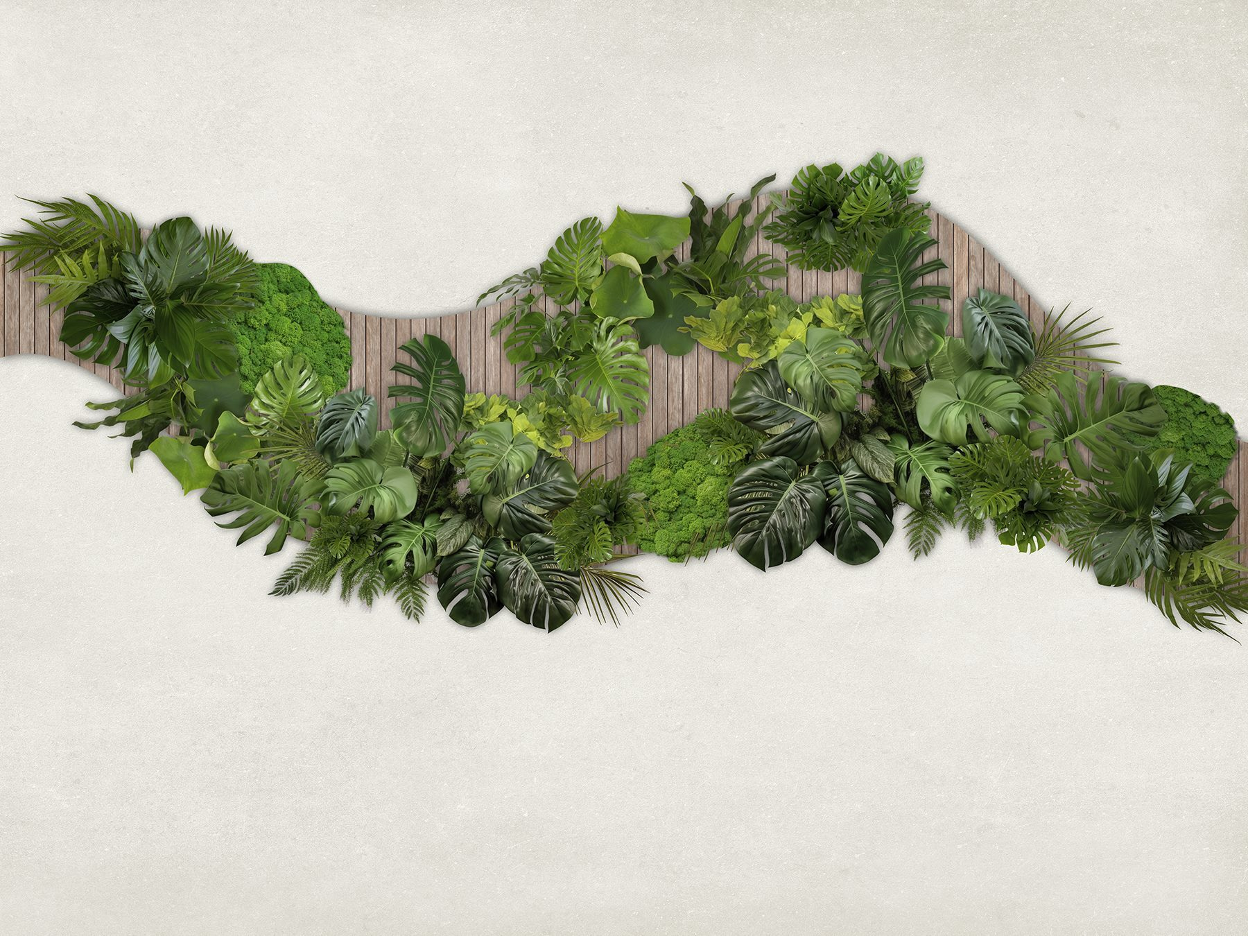 Group of green leaves on a wooden surface