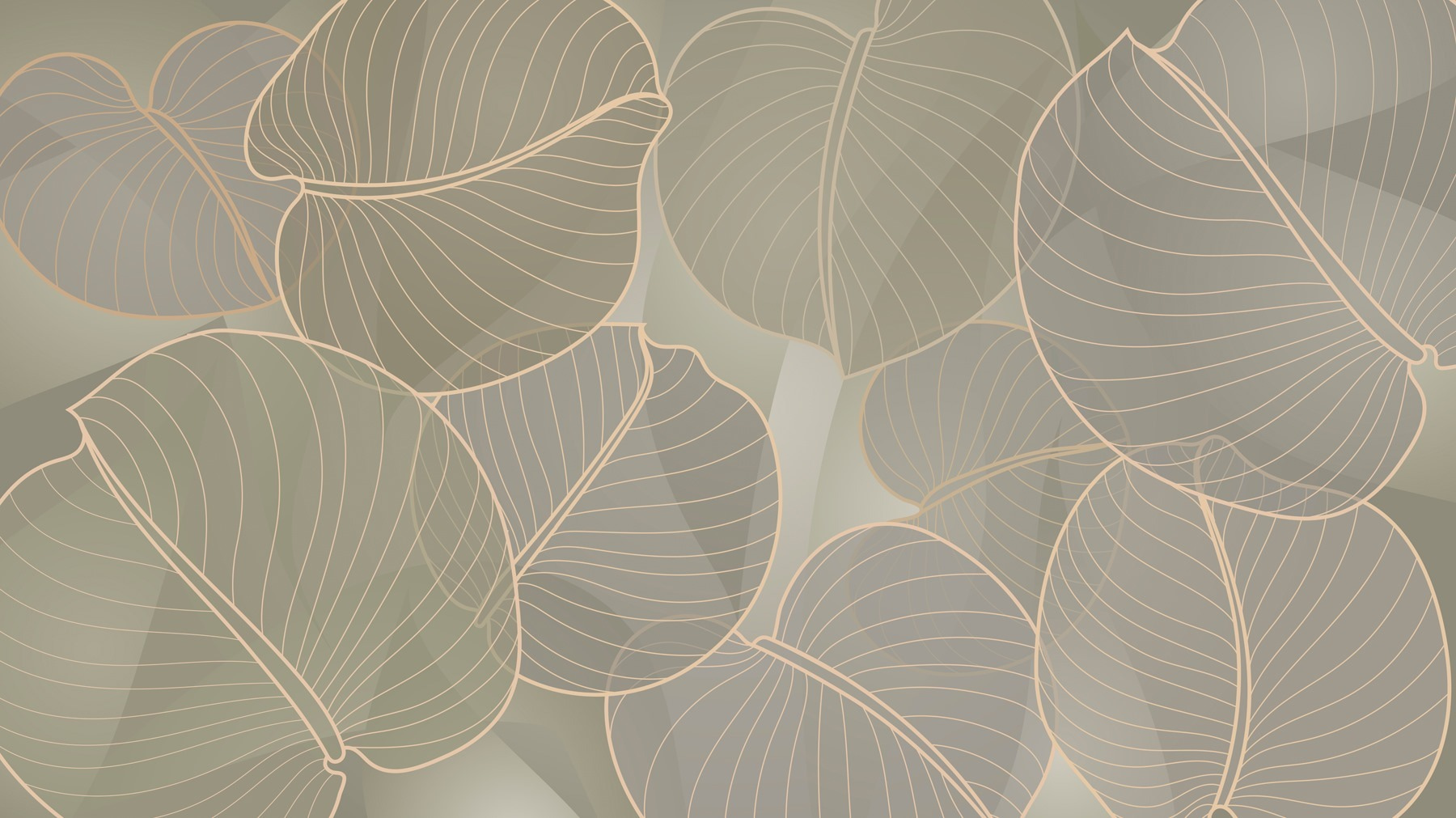 Soft leaves in soothing colors