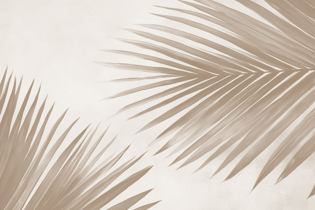 Elegante Palmenblätter auf einem weichen Hintergrund Elegante Palmenblätter auf einem weichen Hintergrund