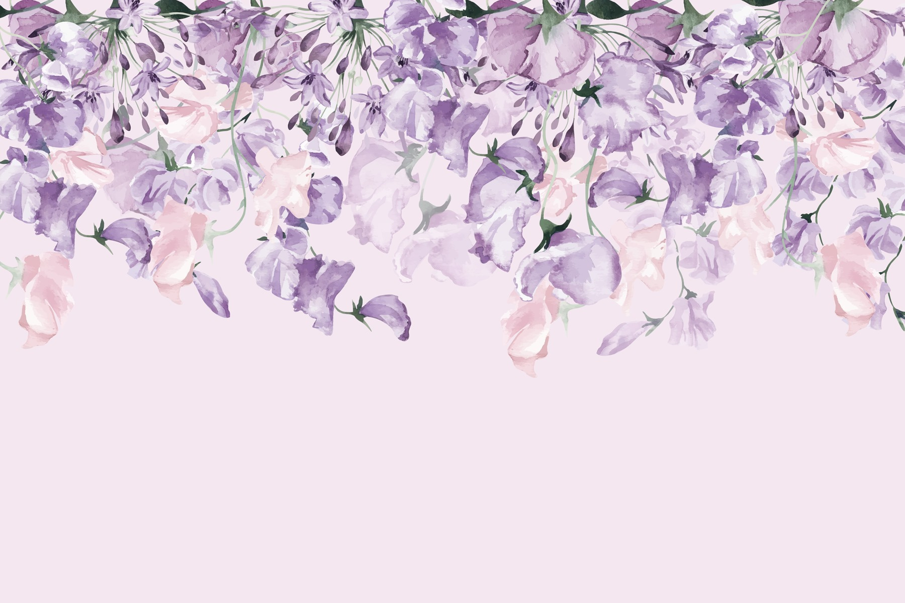 Delicate blooms cascading beautifully downward Delicate blooms cascading beautifully downward