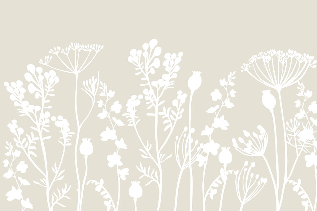 Weiße Silhouetten von Blumen Weiße Silhouetten von Blumen