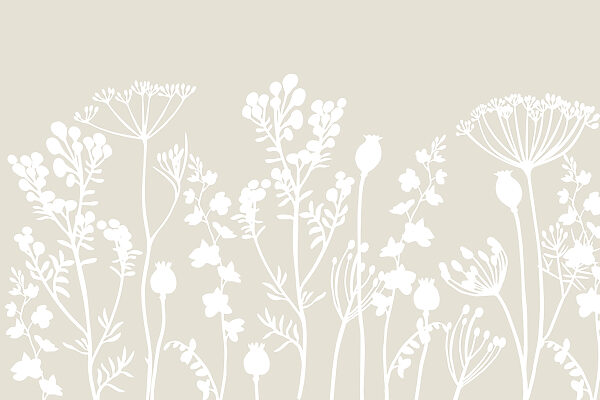 Weiße Silhouetten von Blumen Weiße Silhouetten von Blumen